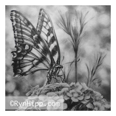 Realistic pencil drawing of a butterfly on a flower.